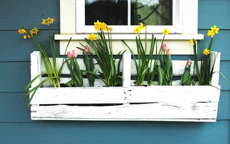 jardiniere en palette -rectangulaire-suspendre-bord-fenêtre-tulipes-jonquilles