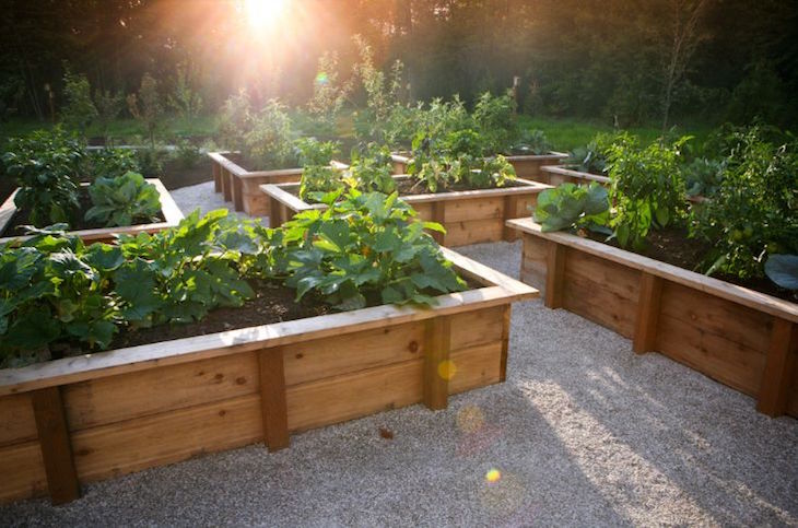 jardinière en bois bordure-large-jardin-potager-moderne