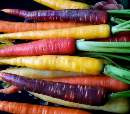 potager d’automne