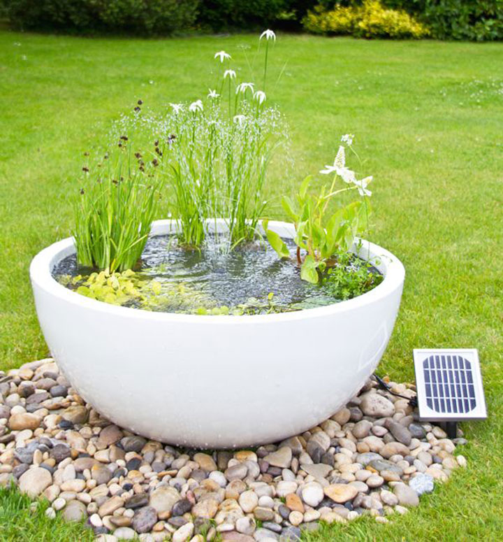 petit bassin aquatique -récipient-blanc-plantes-aquatiques-fleurs-déco-galets
