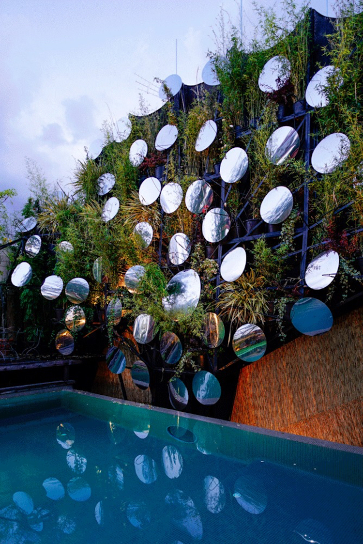 piscine-luxe-eau-naturelle-mur-bambou
