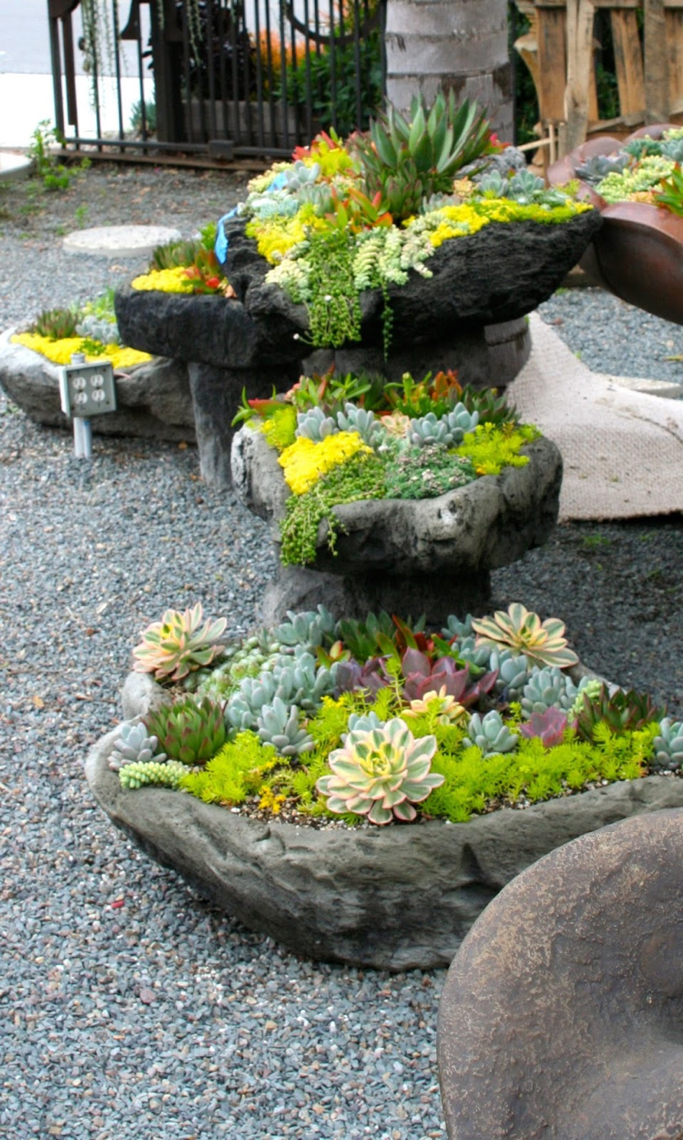 plantes grasses -déco-jardin-compositions-succulentes-lits-pierre