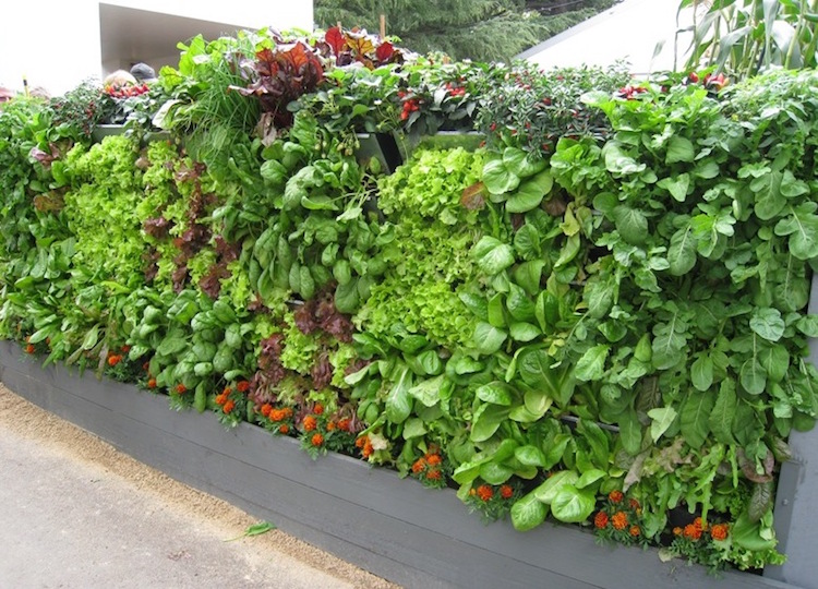 comment planter verticalement