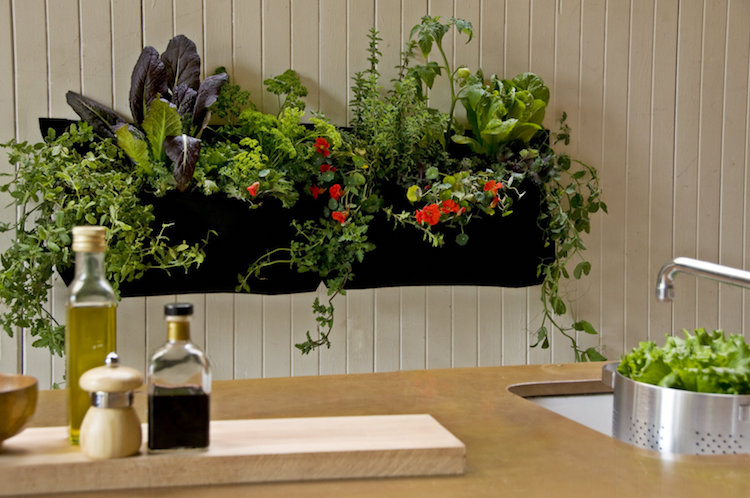 potager-vertical-mur-cuisine-légumes-feuilles-tomates-fleurs
