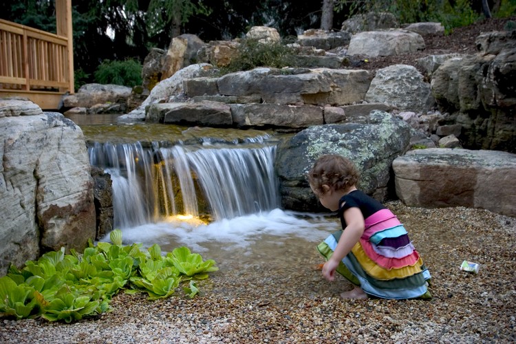 protection bassin de jardin –casdcade-spots-submersibles-plantes-aquatiques