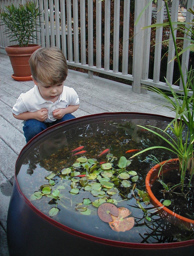 protection bassin de jardin –décoratif-poissons-ornement-plantes-aquatiques