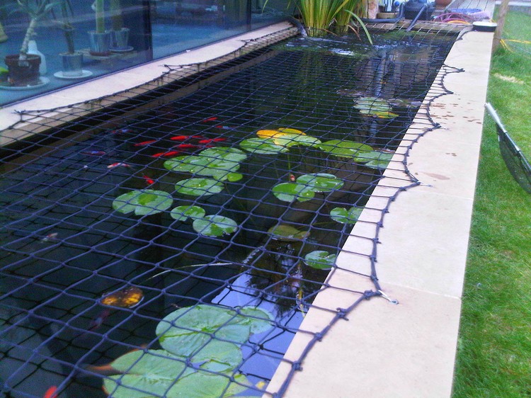 protection bassin de jardin –filet-sécurité-poissons-ornement-plantes-aquatiques
