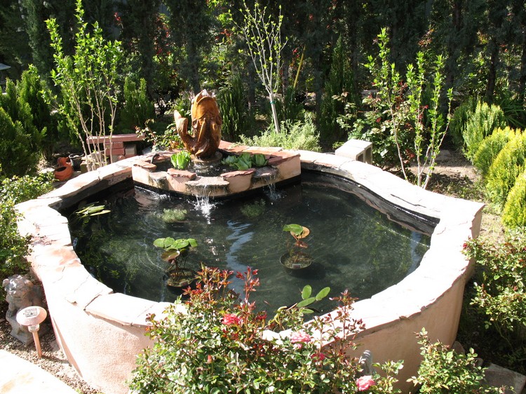 protection bassin de jardin –hors-sol-grande-hauteur-plantes-aquatiques