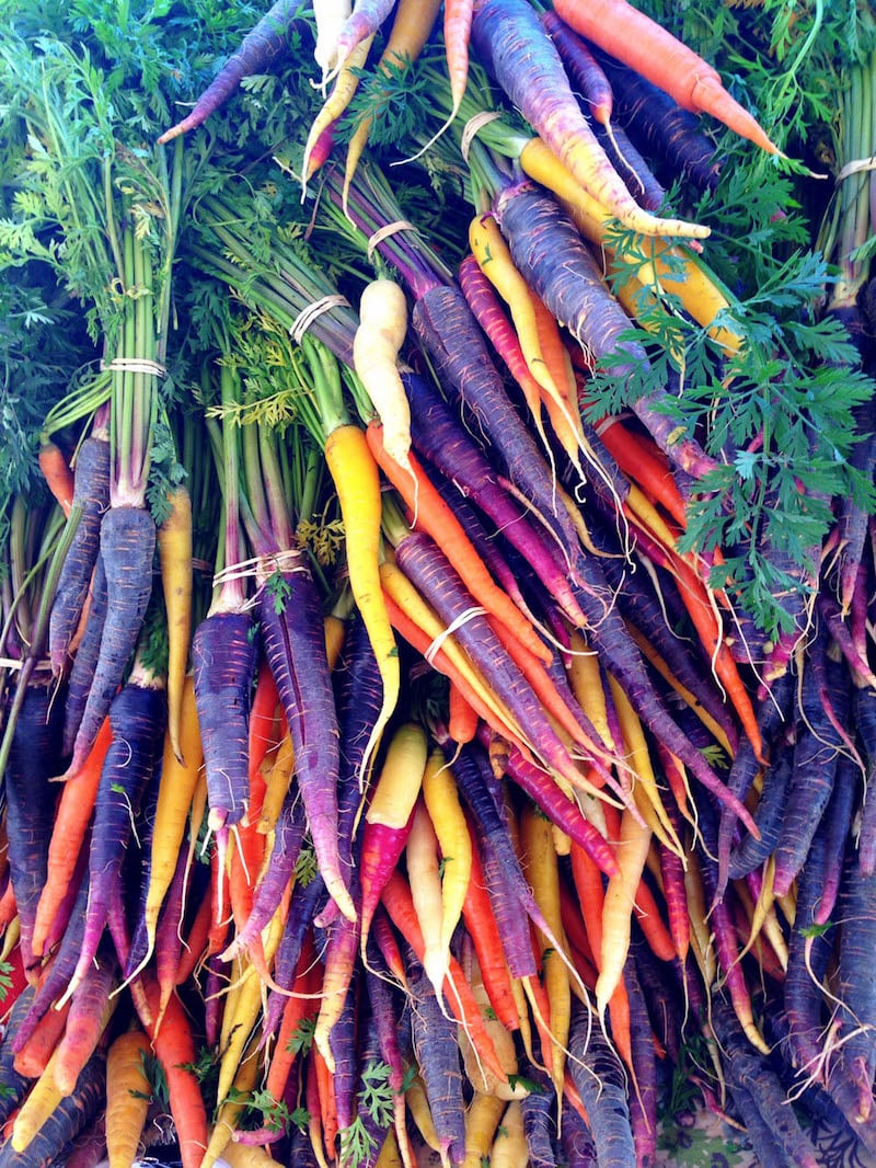quels-légumes-racines-jardin-potager-automne-carottes-couleurs-différentes