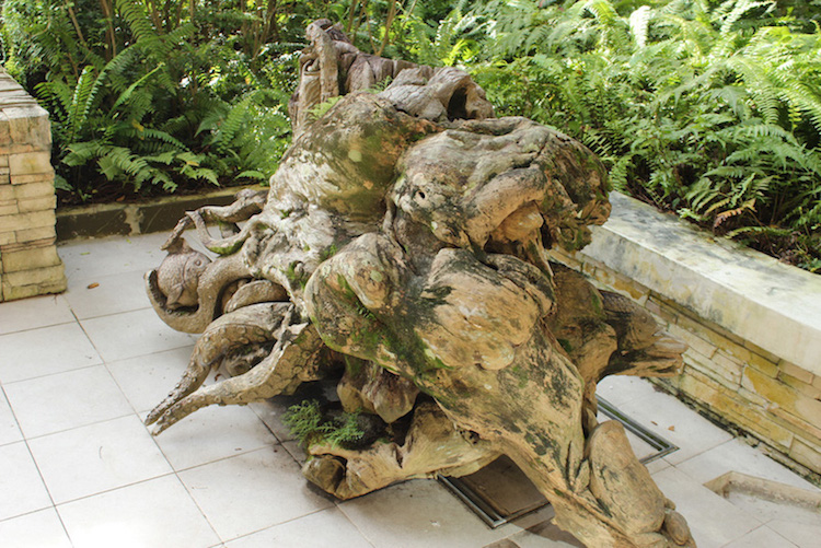 sculpture-bois-racines-souche-arbre-mort-déco-jardin