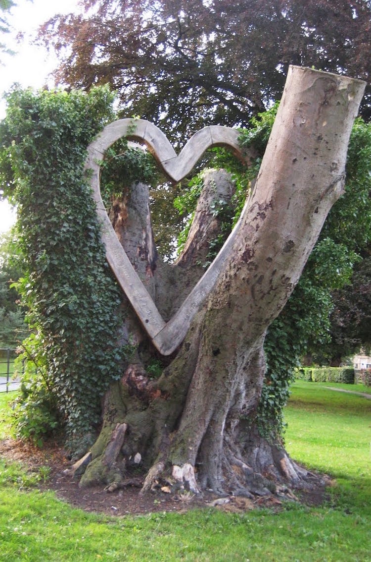 troncs-arbre-mort-sculpture-bois-forme-coeur-décoration