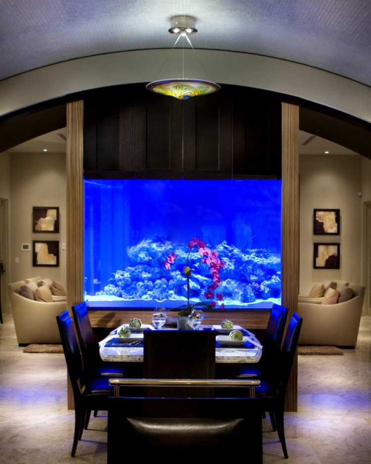 aquarium encastrable -éclariage-bleu-séparateur-salon-salle-manger