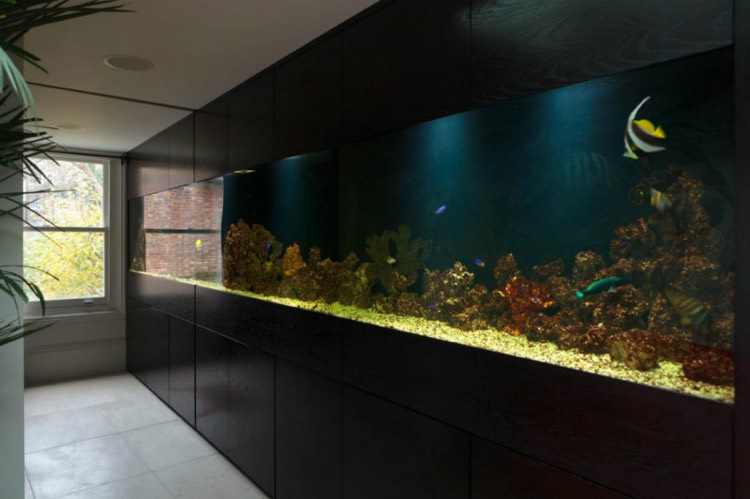 aquarium encastrable -géant-mur-rangement