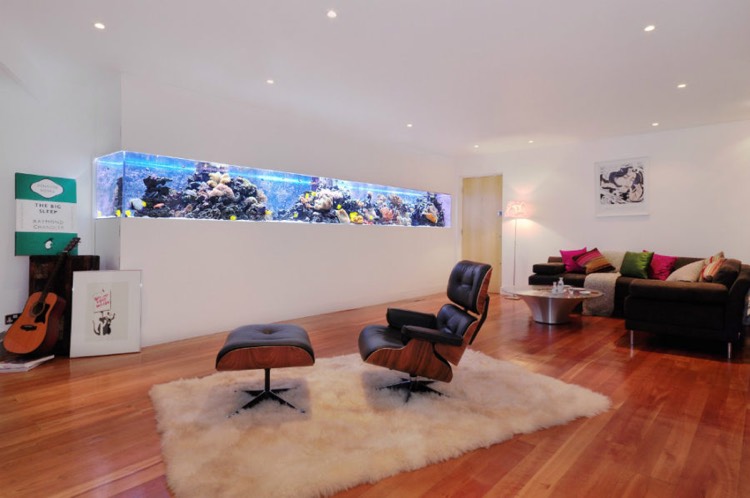 aquarium encastrable -moderne-salon-plancher-bois-fauteuil-relax