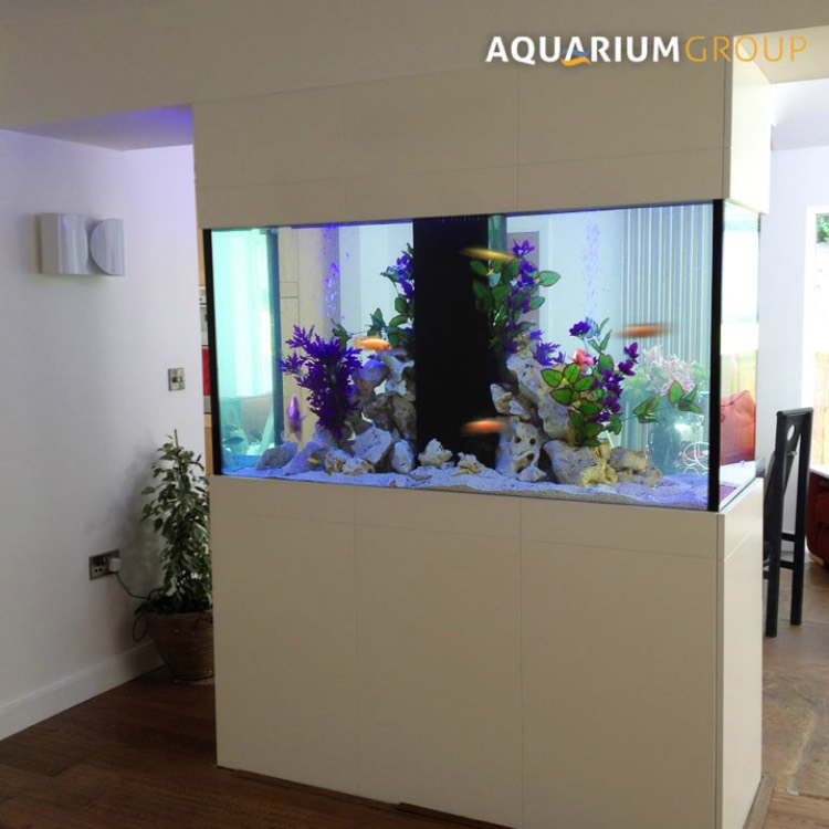 aquarium encastrable -mur-séparateur-salle-manger