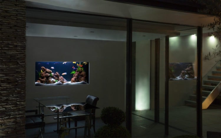 aquarium encastrable -rectangualire-salle-manger-sombre
