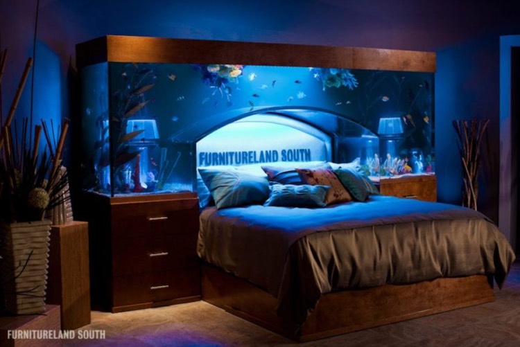 aquarium encastrable -tête-lit-design-éclairage-bleu