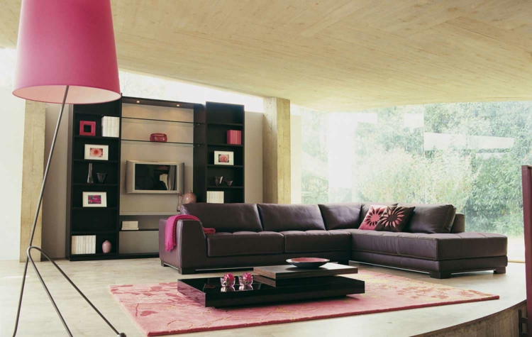 canapé marron -meuble-rangement-bois-foncé-tapis-rose-lampadaire-rose