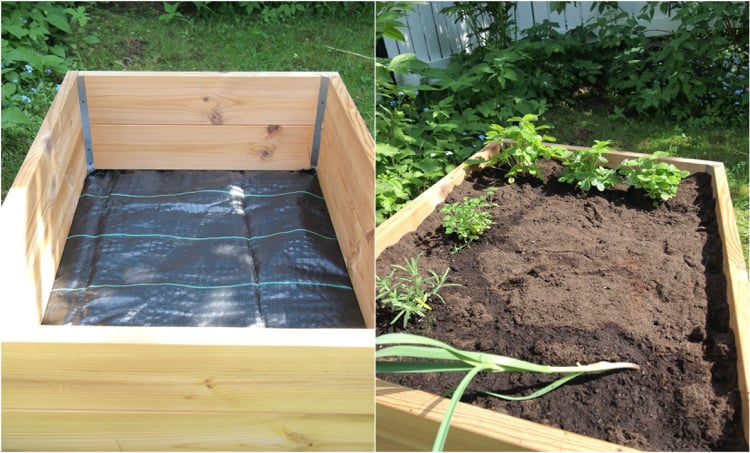 comment fabriquer un jardin en carré en planches-bois-quelles-plantes-cultiver