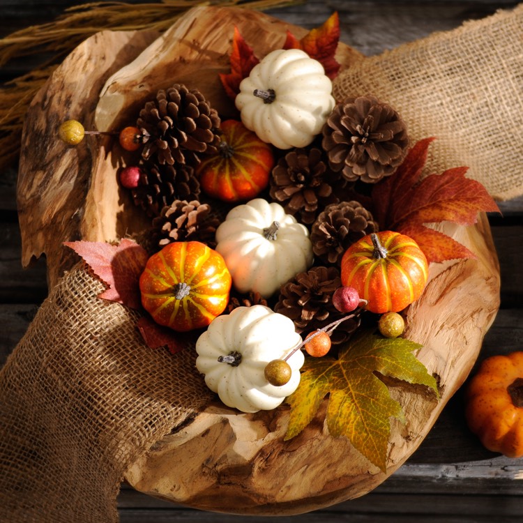 décoration automne -composition-mini-citrouilles-pommes-pin-feuilles-automne-ruban-jute