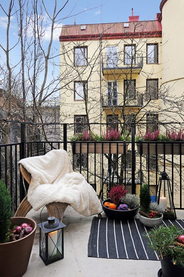 décoration balcon automne-composition-bruyère-cinéraire-maritime-citrouilles-lanternes-tapis-extérieur-couverture