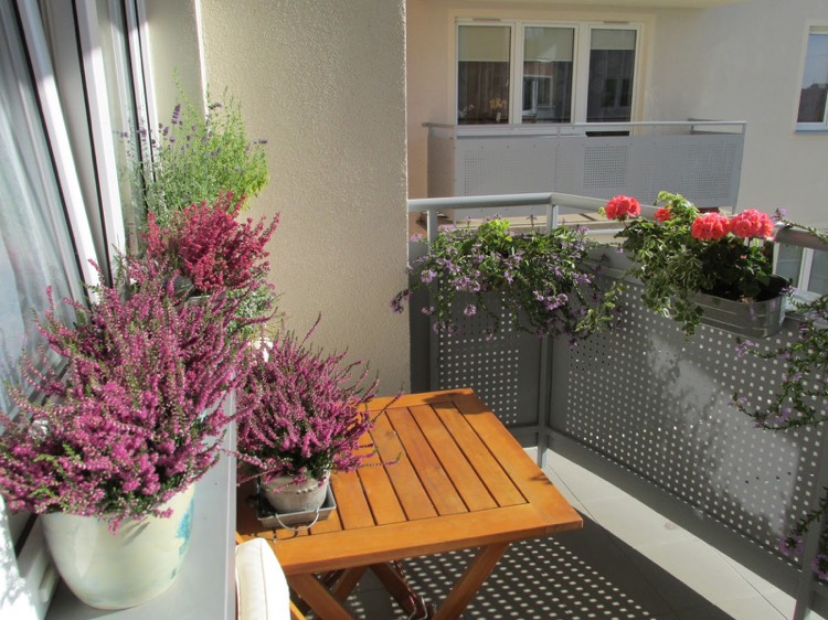 décoration balcon automne-jardinière-automne-bruyère-erica
