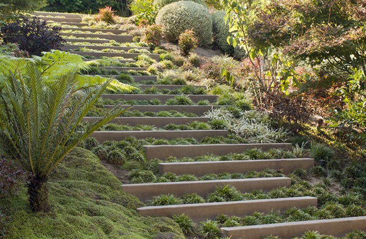 escalier extérieur –végétalisé-marches-décalées-espèces-plantes-californie