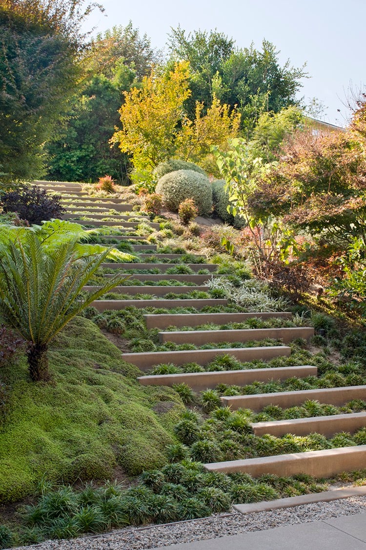 escalier extérieur –végétalisé-marches-décalées-plantes-couvre-sol-palmiers-espèces-californie