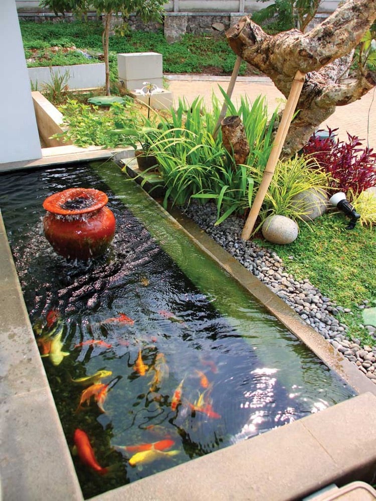 étang de jardin moderne -béton-fontaine-pot-carpes-koi