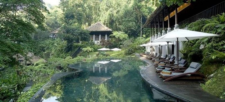 jardin-tropical-piscine-originale-plage-bois-composite