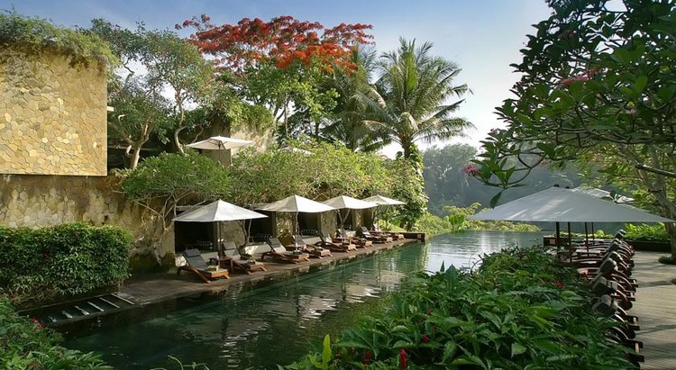 jardin-tropical-piscine-étroite-paarasol-paradis-bien-être
