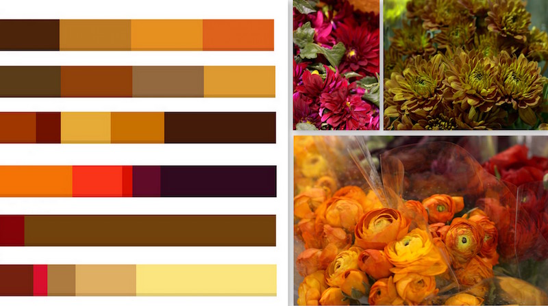 palette-couleurs-chaleureuses-utiliser-déco-extérieure-automne