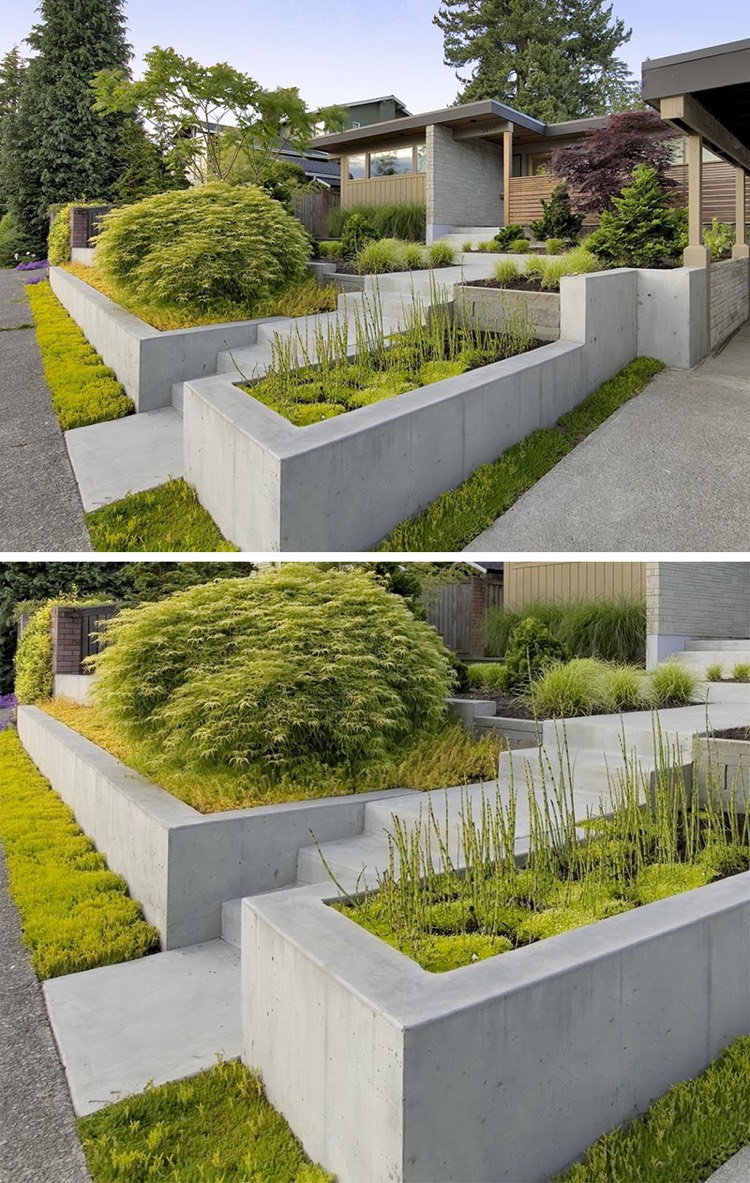 parterre surélevé-béton-moderne-jardin-structuré