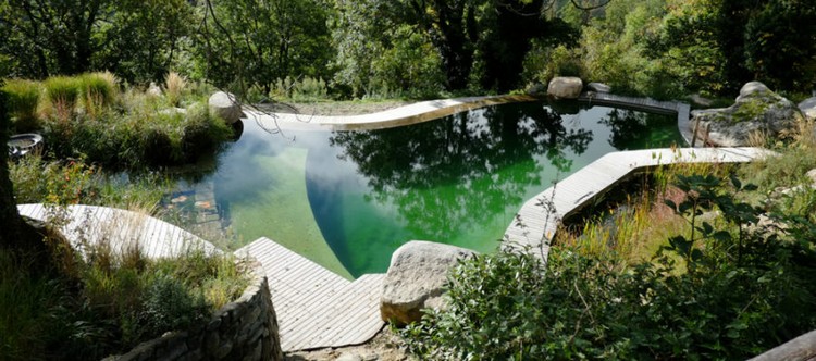 piscine-moderne-masion-bois-esprit-nature-forme