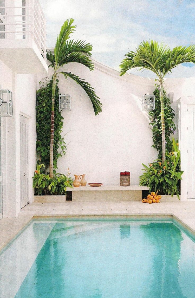 piscine pour petit jardin -dallage-pierre-naturelle-palmiers-style-exotique