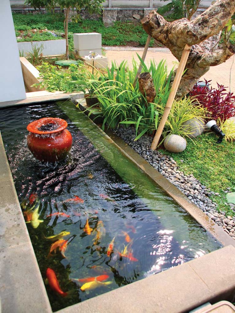  tang de jardin moderne pour h berger les poissons et 