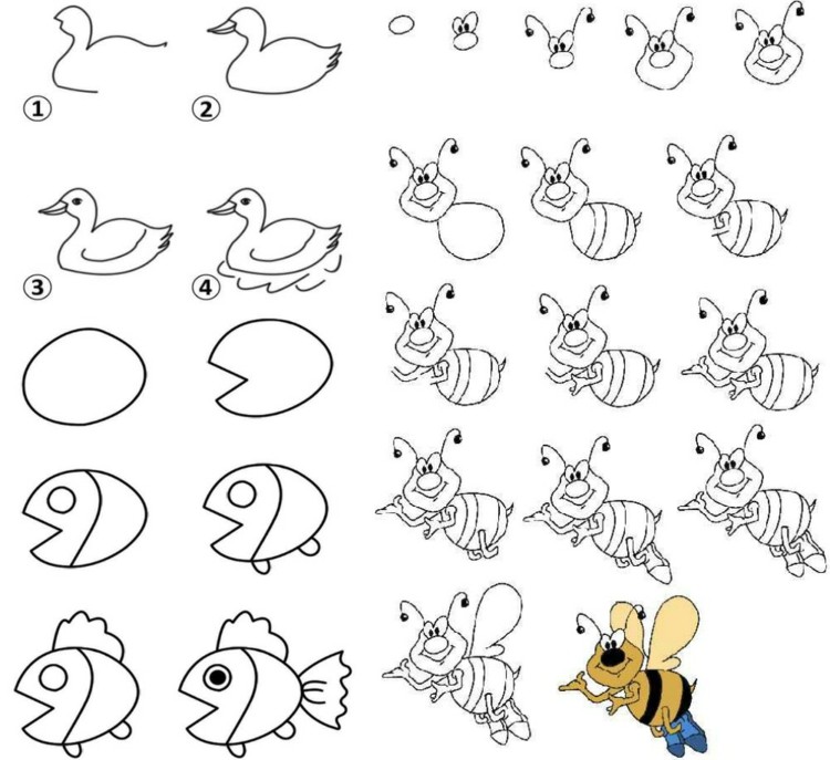 apprendre a dessiner un poisson vk24