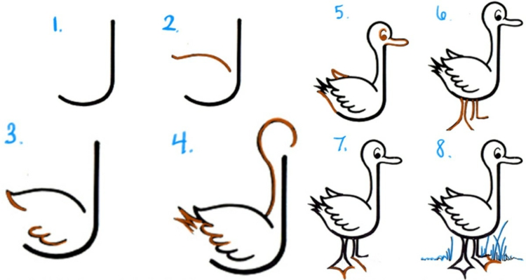 apprendre à dessiner enfants-canard-motifs-instructions
