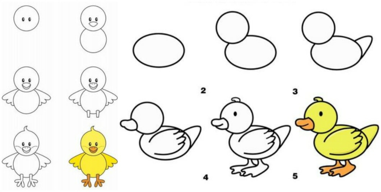 apprendre-dessiner-enfants-canard-poussin-jaune