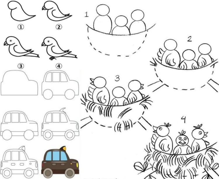apprendre-dessiner-enfants-nod-oiseaux-voitures-perroquet