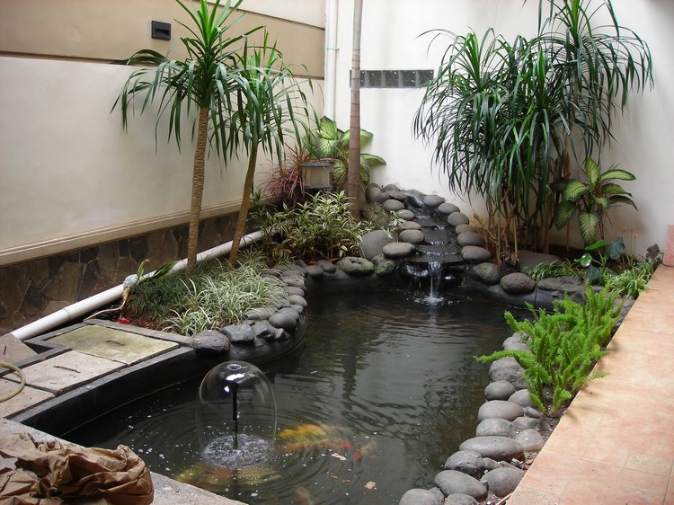bassin-carpe-koi-jardin-idees-conception-design