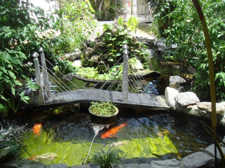 bassin-carpe-koi-pont-passage-design-original
