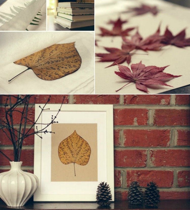 cadre photo a faire soi-meme -herbier-feuille-automne-diy
