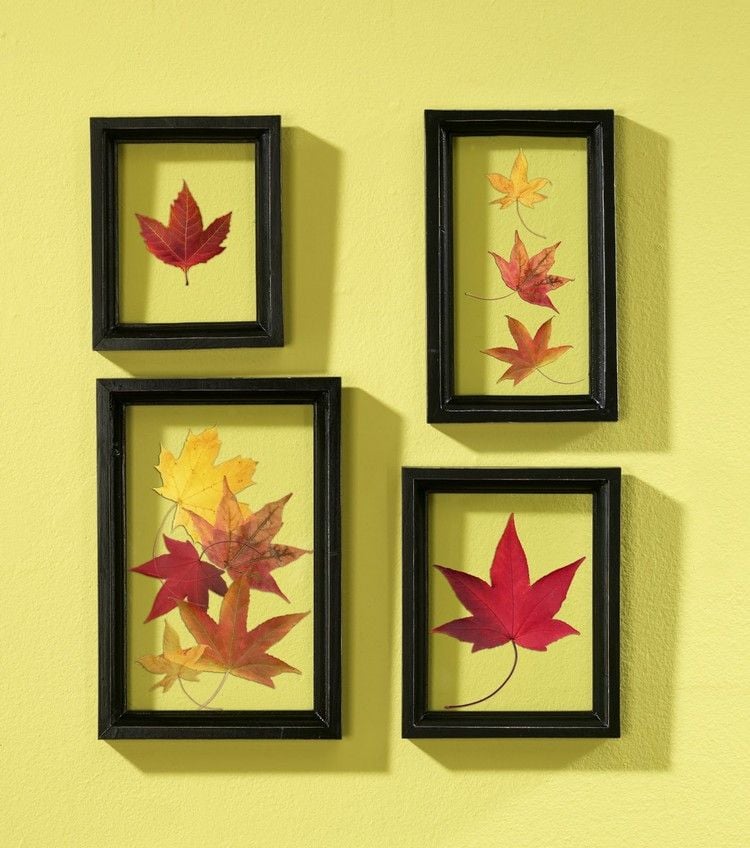 cadre photo a faire soi-meme -herbiers-feuilles-automne-jaune-rouge-orange