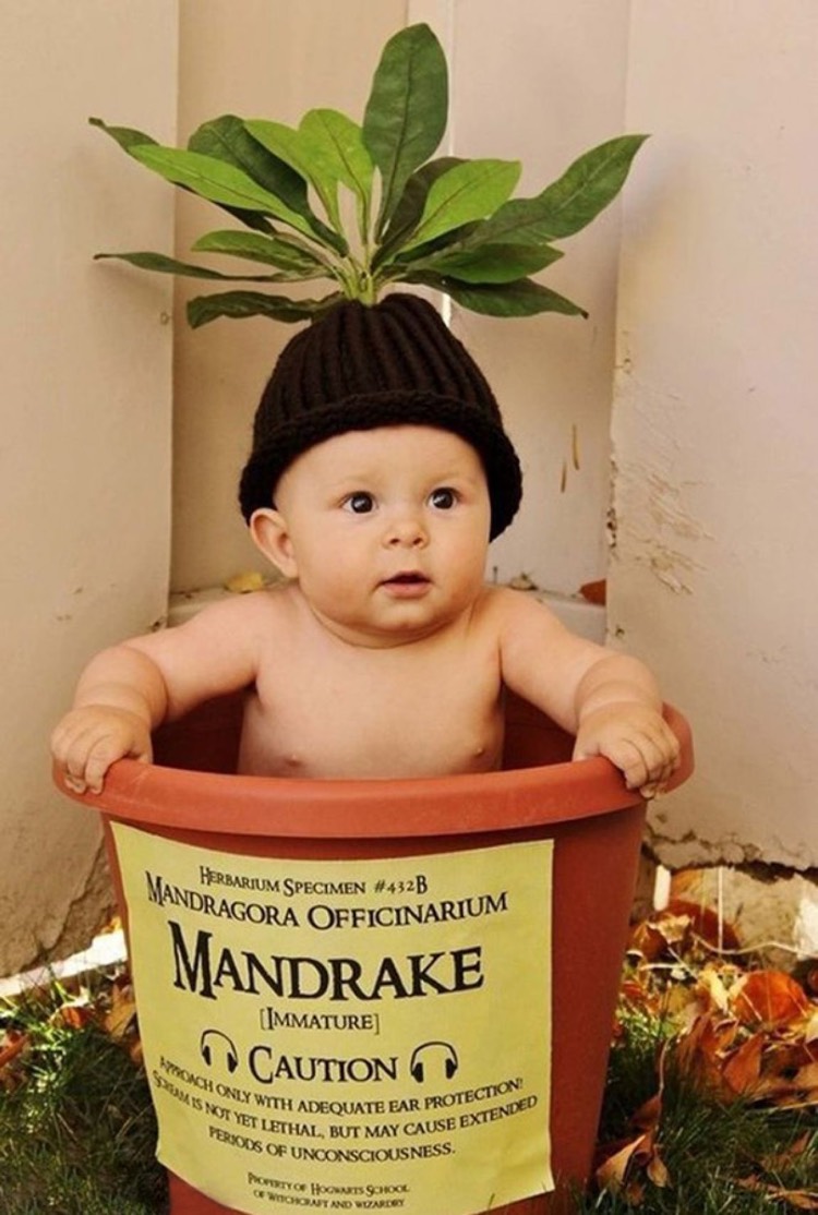 costume-halloween-bebe-garcon-mandragore-pot-marron-chapeau-tricot