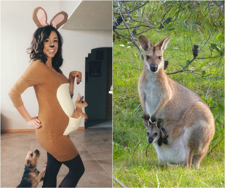 déguisement femme enceinte costume-halloween-kangoroo