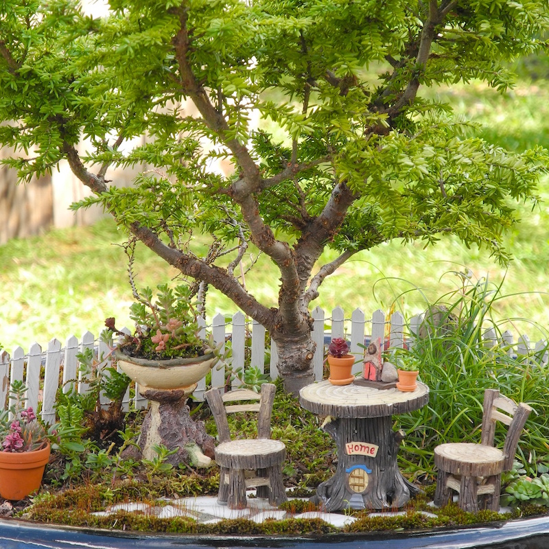 mini-jardin-fees-arbre-nain-scene-vie-idyllique