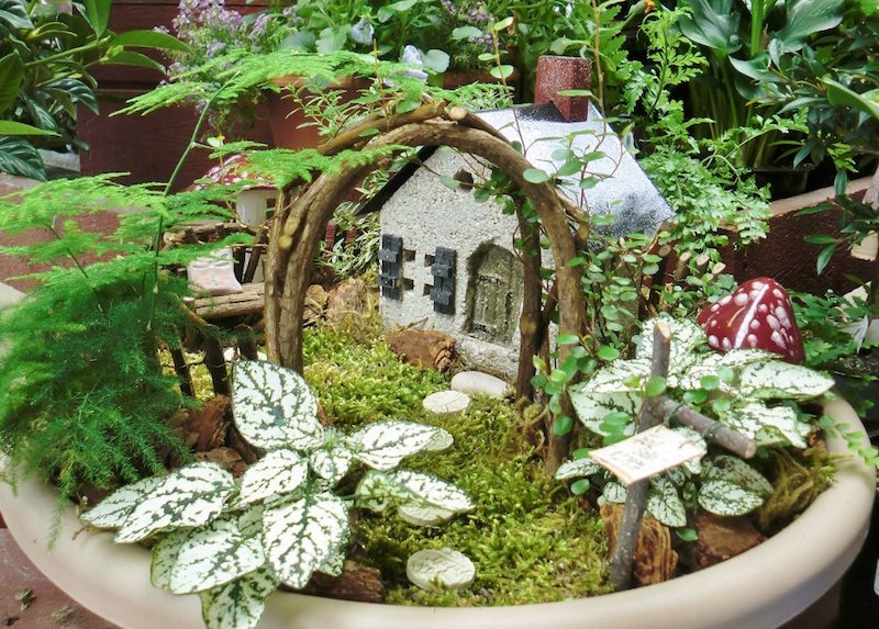 mini jardin de fées fougere-maisonnette-arc-champignons