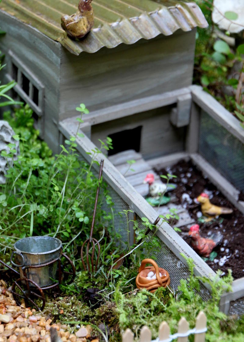 mini-jardin-fees-poulailler-miniature-poules-seau