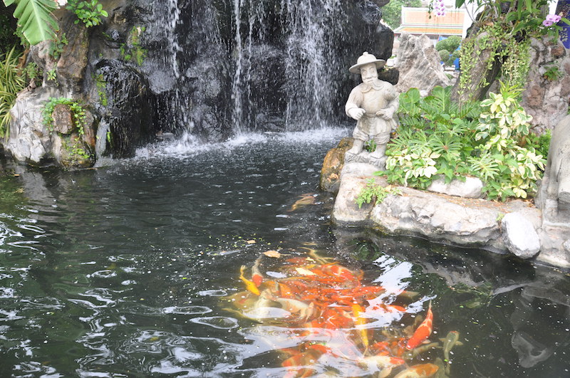 bassin-poisson-rouge-ornemental-carpe-koi-jardin-zzen